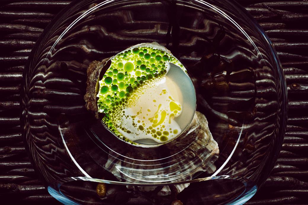 Maaemo Tea Maaemo